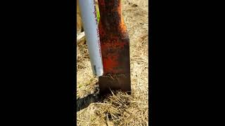 Easy DIY Garden Seed Planting Tool [upl. by Nyleek]