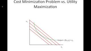 Cost Minimization [upl. by Aihtnamas]