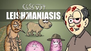 Leishmaniasis  Plain and Simple [upl. by Leugar]