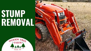 How Do Christmas Tree Farms Remove Stumps 242 [upl. by Myles]