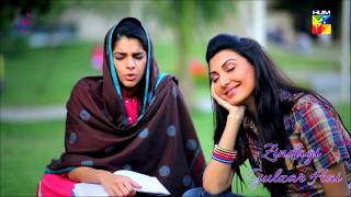 Zindagi Gulzar Hai Title Song OST  Ali Zafar  Hum TV Drama [upl. by Nniuq]