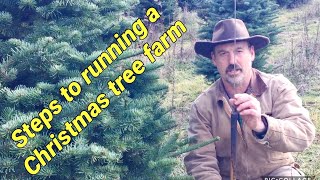 Running a Christmas Tree Farm A brief overview [upl. by Hunger442]