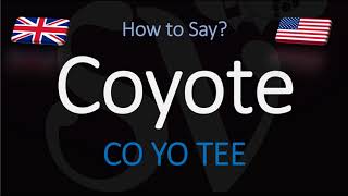 How to Pronounce Coyote  English American Pronunciation [upl. by Suoivatco]