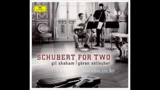 Schubert SerenadeStandchen D957 [upl. by Phelgen]