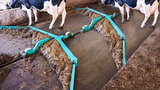 Amazing Modern Automatic Cow Farming Technology  Fastest Feeding Cleaning and Milking Machines [upl. by Noxid414]