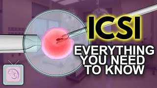 IVF ICSI Procedure  Important things you need to know [upl. by Marguerite]