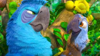 Rio 2 Clip  Roberto  20th Century Fox HD [upl. by Taffy]