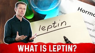 What is Leptin Explained By DrBerg [upl. by Kozloski]