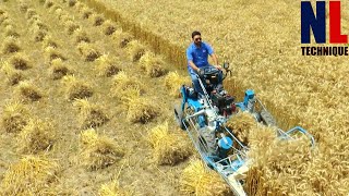 Cool and Powerful Agriculture Machines That Are On Another Level Part 19 [upl. by Pawsner429]