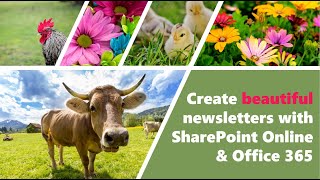 Create beautiful newsletters with SharePoint Online and Office365 [upl. by Llyrpa506]