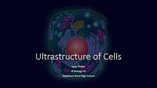 Ultrastructure of Cells [upl. by Scales]