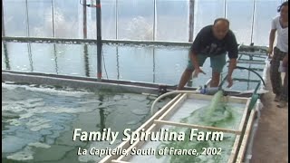 Family Spirulina Algae Farm in France • 2002 [upl. by Gilliette]