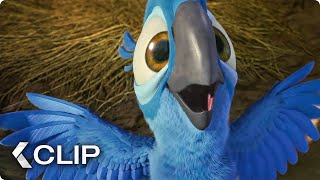 RIO 2 Clip  The Loggers 2014 Jesse Eisenberg [upl. by Nedak]