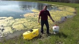 Controlling Algae in Farm Ponds [upl. by Airdnoed]