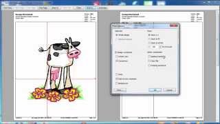 bernette  Embroidery Software Customizer Working with Designs [upl. by Redd894]