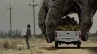 Two Giant Gorilla plays the car [upl. by Trebor]