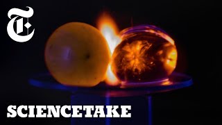 Why Microwaved Grapes Explode  ScienceTake [upl. by Isolde]