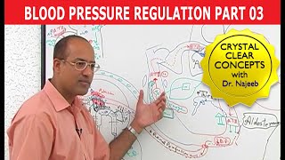 Hypertension  Blood Pressure  Part 34 [upl. by Gnart]