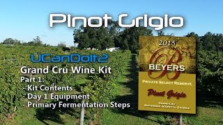 Pinot Grigio Part 1  Primary Fermentation [upl. by Panter]